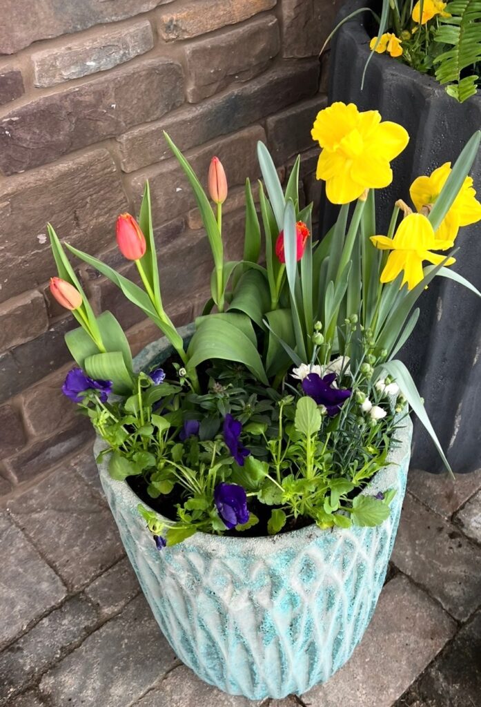 A turquoise textured planter filled with blooming yellow daffodils, red tulips, and purple pansies, placed on a stone patio in front of a brick wall.