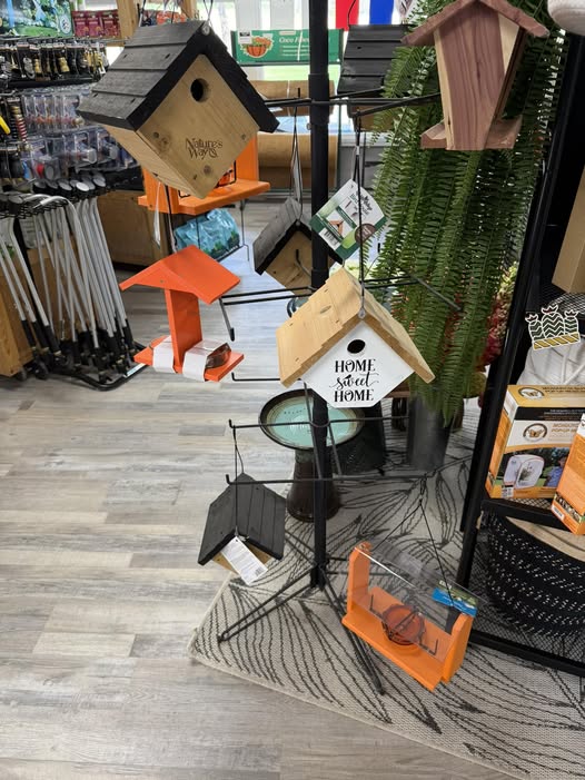 A display of various birdhouses and feeders in a store, including wooden and orange models, with a fern plant and other store items in the background on a light wood floor.