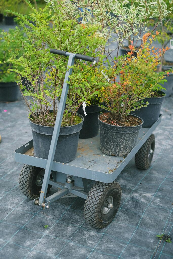 From above of different potted plants on trolley in garden for planting in farm