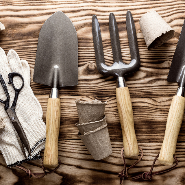 A set of gardening tools, including a trowel, hand fork, gloves, pruning shears, and biodegradable seedling pots, arranged neatly on a wooden surface.