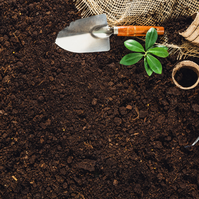 A small gardening trowel, a young green plant, an empty flowerpot, and burlap fabric are placed on rich, dark soil, suggesting gardening or planting activities.